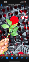 Load image into Gallery viewer, Rose lashes
