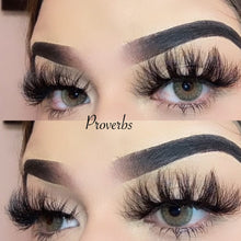 Load image into Gallery viewer, PROVERBS
